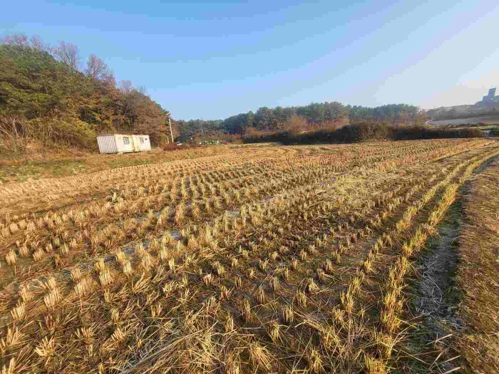 제시 목록 4 부동산