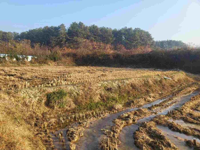 제시 목록 2 부동산