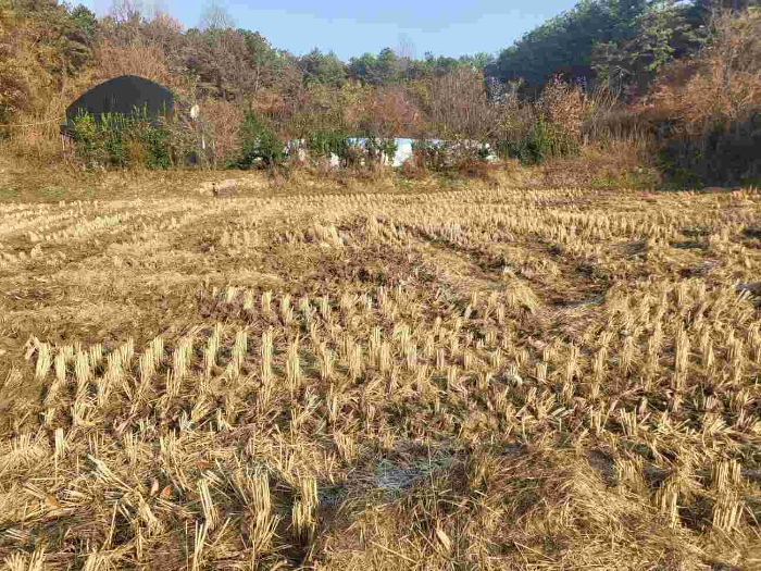 제시 목록 2 부동산