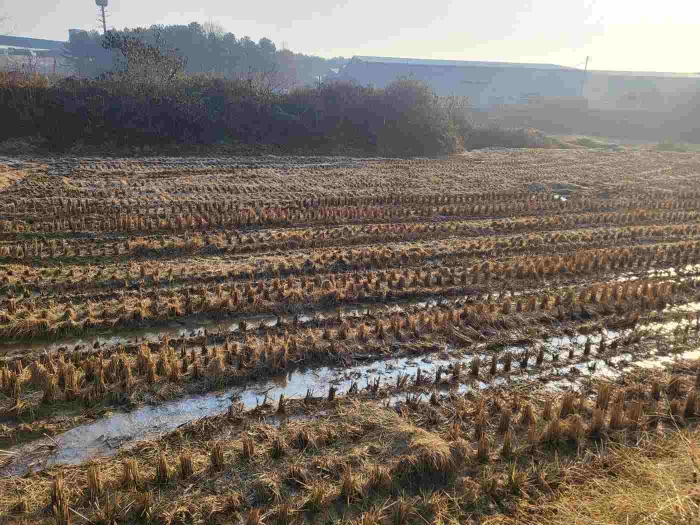 제시 목록 3 부동산