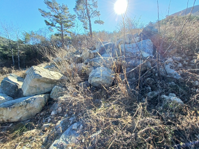 기호(2) 지상 이동 가능한 조경석 등