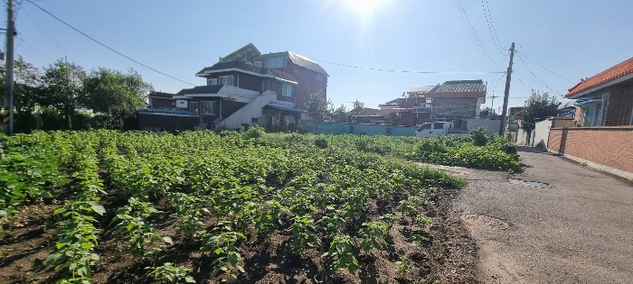 본건 전경