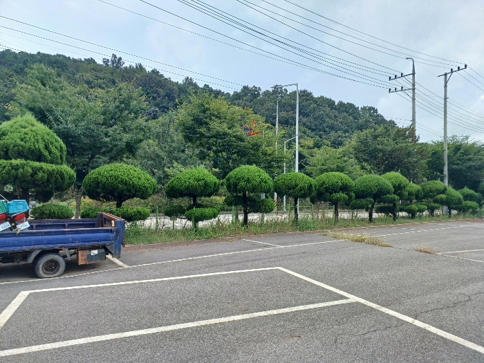 본건 지상소재