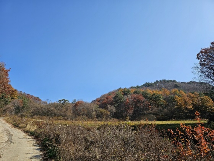 일련번호(1,2) 남서측 전경