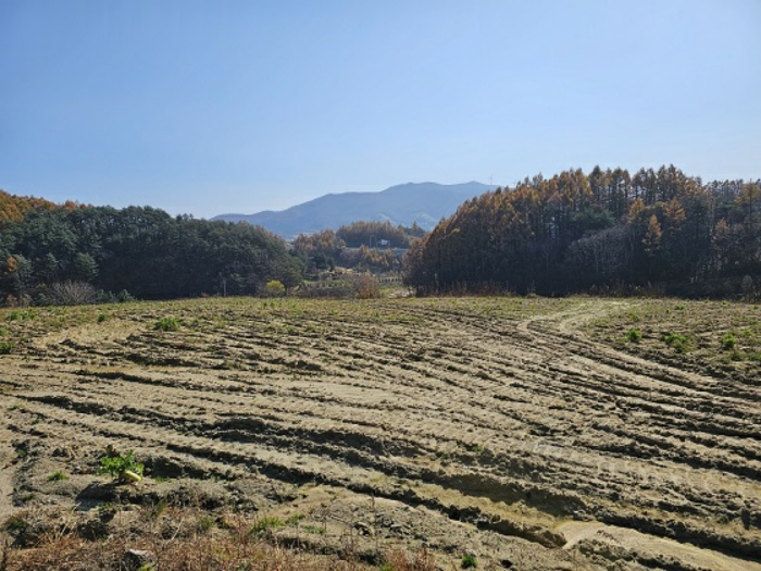 일련번호(5) 북서측 근경