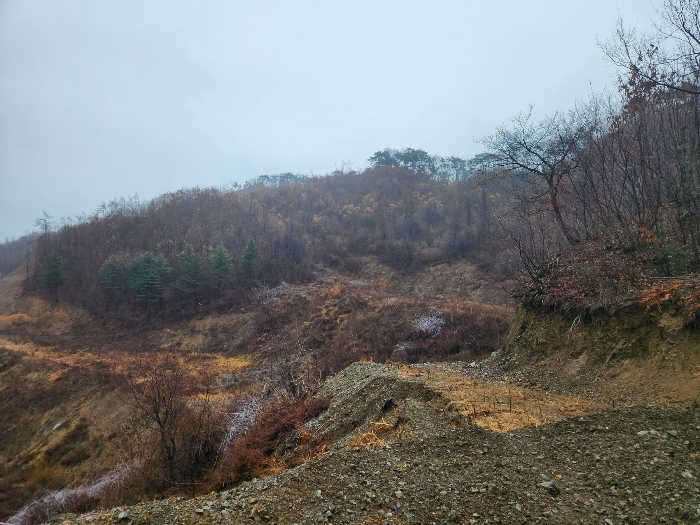 본건 기호(8,9) 전경