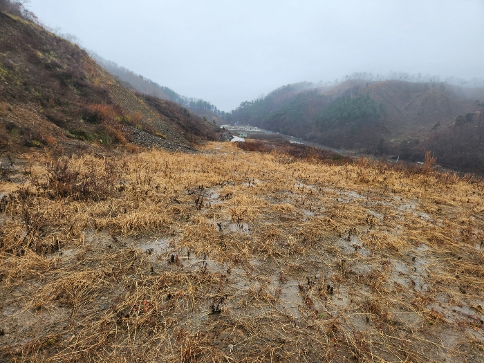 본건 기호(10,11) 전경