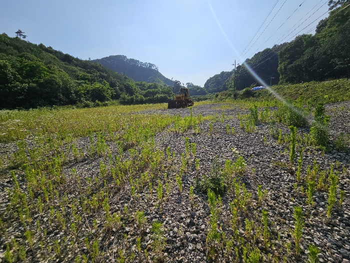 본건 전경_2