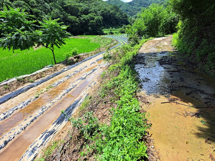 대상물건9(전)