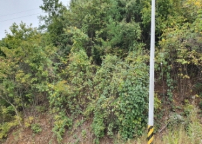 25,28,29,30번 토지