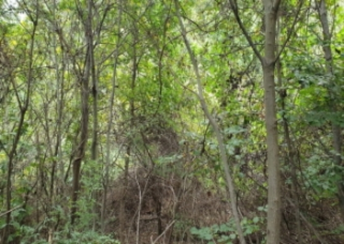 9,11,12,13번 토지