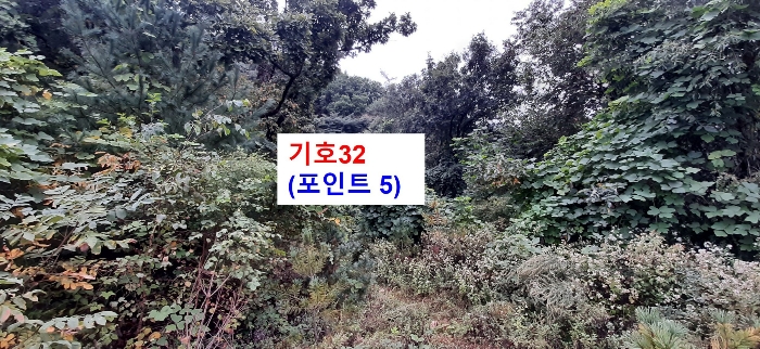 북동측 촬영