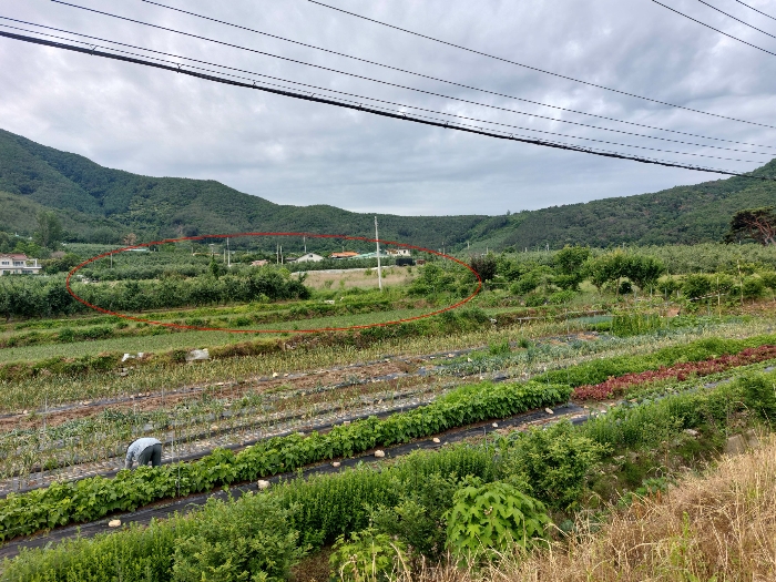 경상남도 밀양시