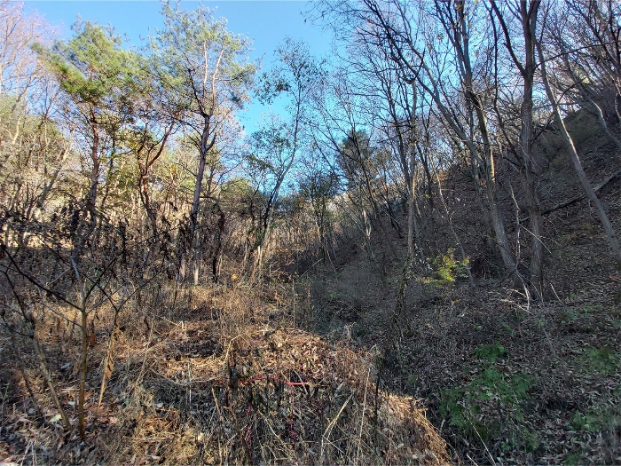 본건 기호3 남동측 전경 (중앙에서 남동측 방향 근접 촬영)