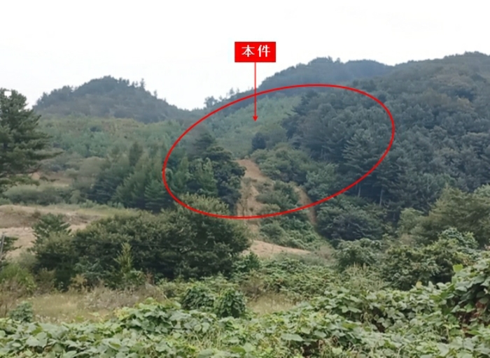 본건 기호 1,2,3)