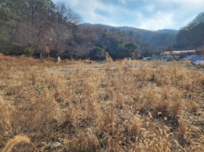 1,2,5,6목록 부동산 전경(후면)