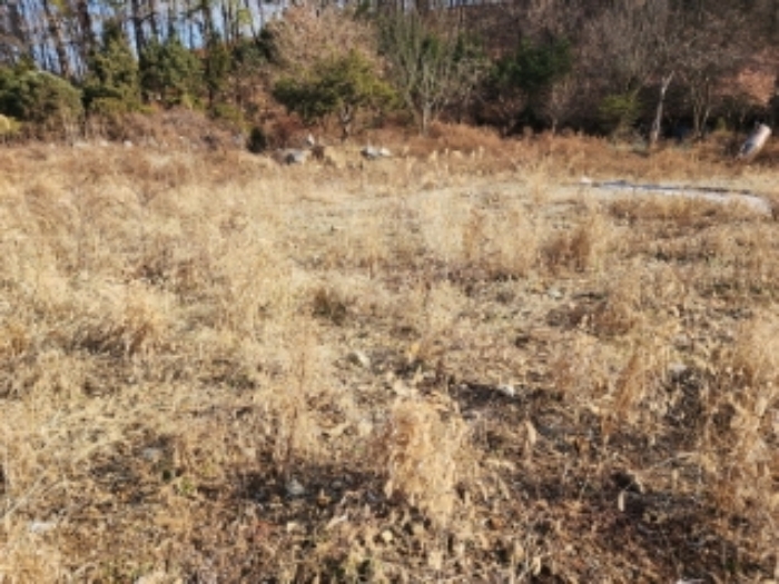2목록 부동산(292) 정면