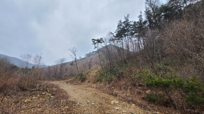 본건 전경(남동측에서 촬영)