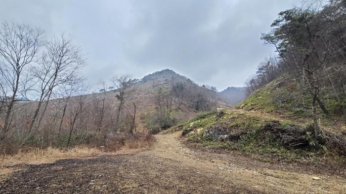 본건 전경(남동측에서 촬영)