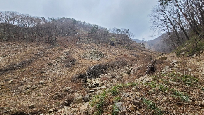 본건 전경