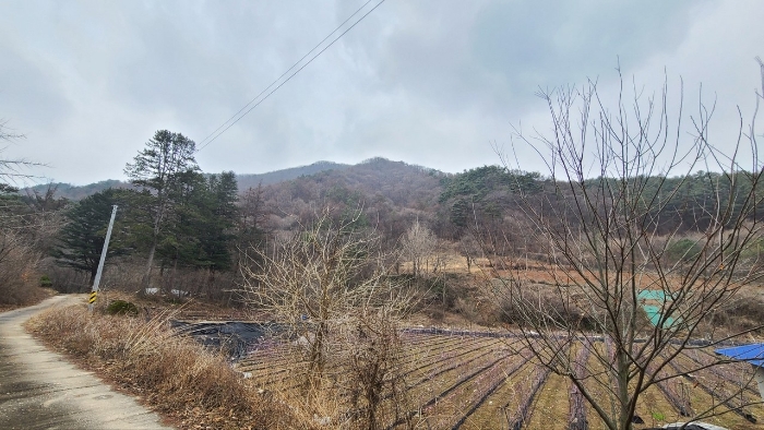 본건 주위 전경(동측에서 촬영)