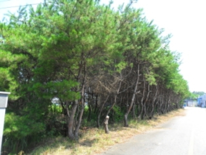 부동산표시 제1호