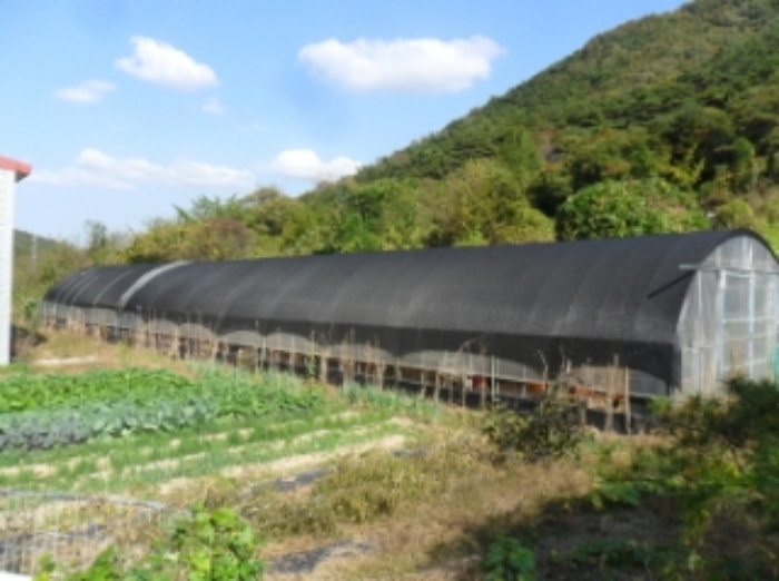 부동산표시 제1호, 제3호 제시외