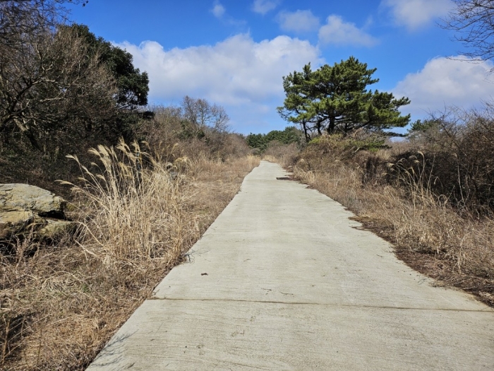 접면도로, 주변전경