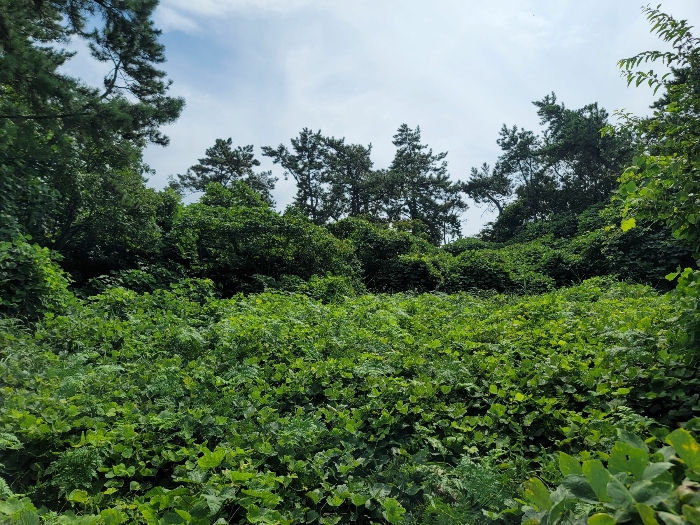 본건 (1) 전경