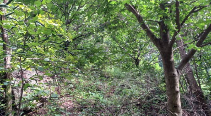 목록10 토지 및 목록11 토지