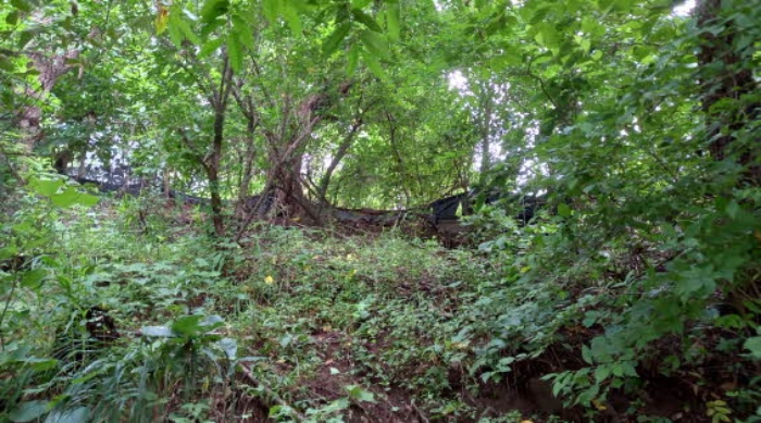 목록10 토지 및 목록11 토지