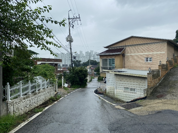 남서측 도로변