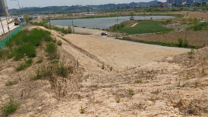 본건 전경