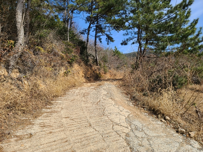 기호(2)도로(사유지)