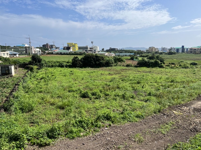 일련번호 4) 전경