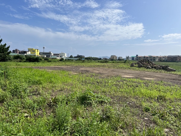 일련번호 5),6) 전경