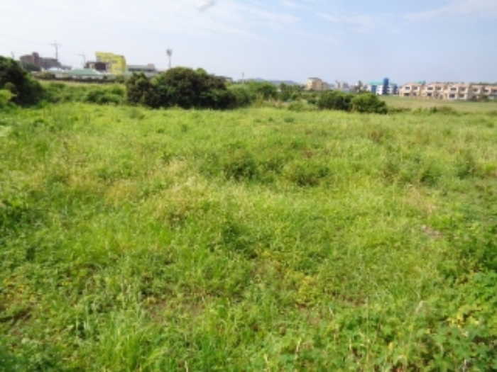 소재지4.(사계리 2019-7) 전경