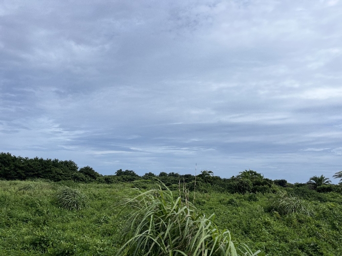 본건 기호(1) 전경