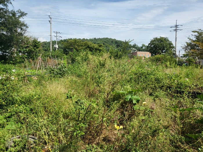 기호(1,2,4) 토지