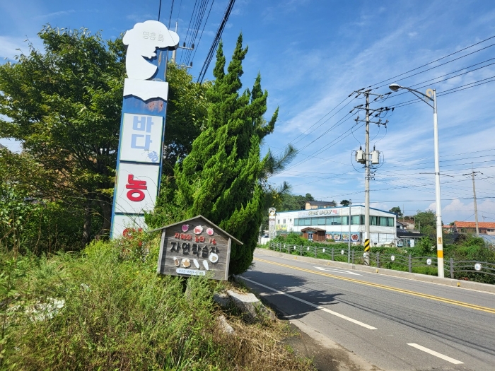 접면도로 및 주위환경