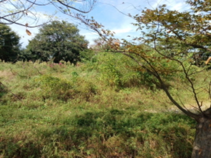 목록 4.번의 전경