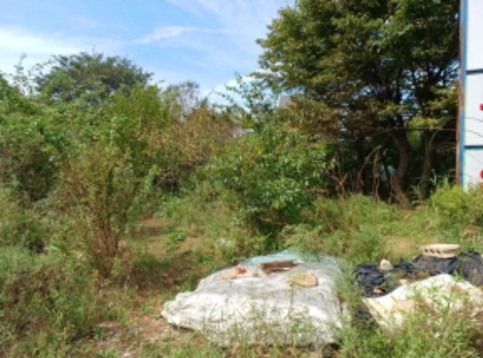 목록 1.번의 전경