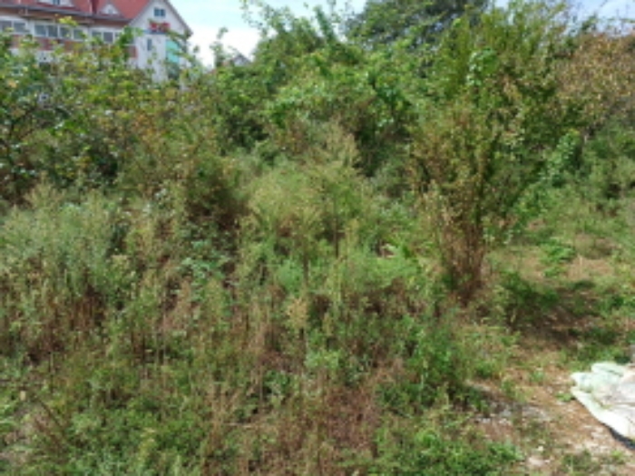 목록 2.번의 전경