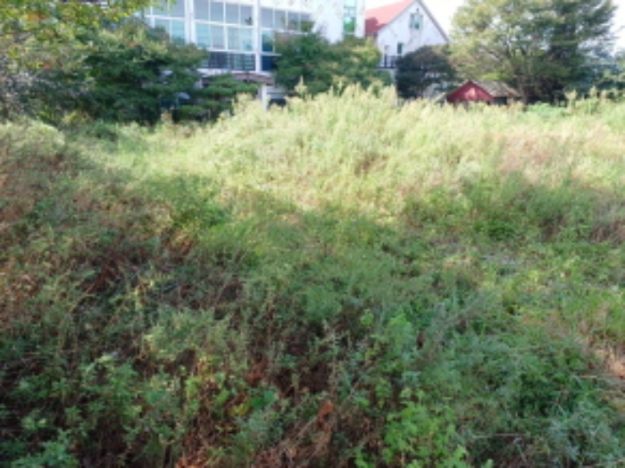 목록 6.번의 전경