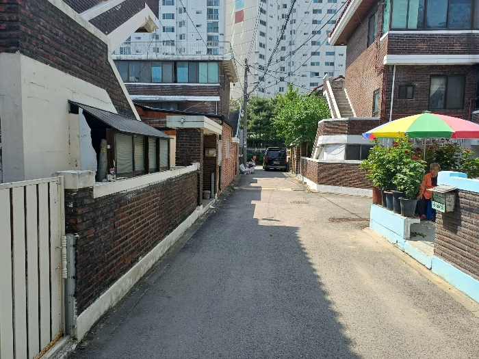 본건(5 6) 