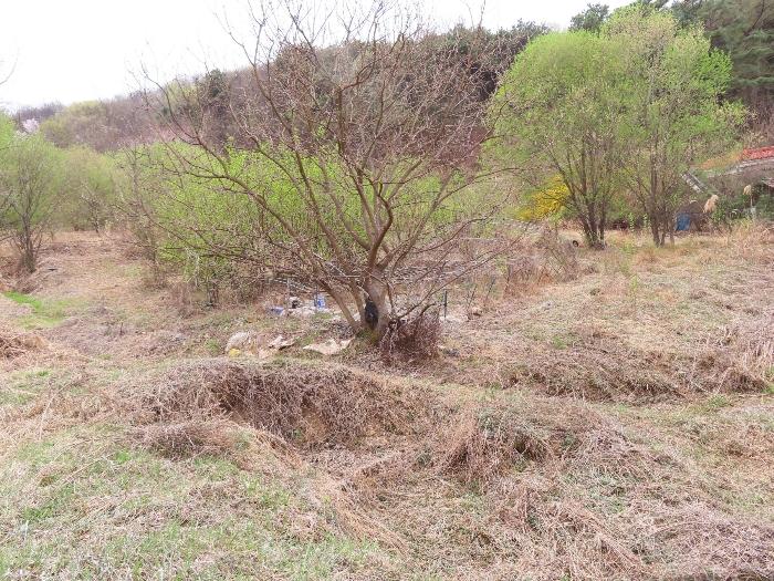 기호(3) 북측 부분