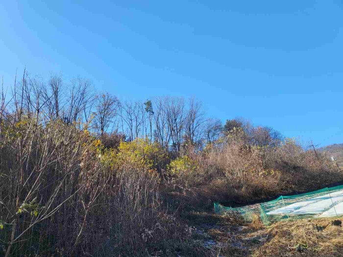 제시 목록 1 부동산(인근 부동산 밭 경계)