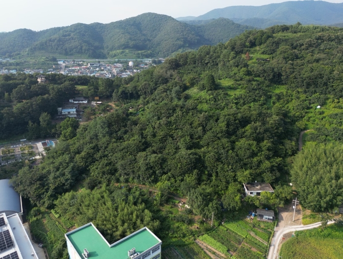 본건(1-5) 및 주위 전경