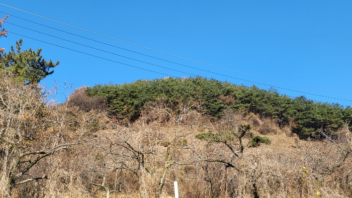 본건 기호 2) 남동측 전경