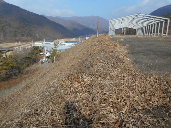 본건 기호(1),(2) 경사지부분 전경 - 기호(2) 동측 내부에서 촬영